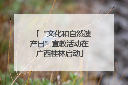 “文化和自然遗产日”宣教活动在广西桂林启动