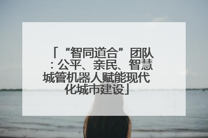 “智同道合”团队：公平、亲民、智慧城管机器人赋能现代化城市建设