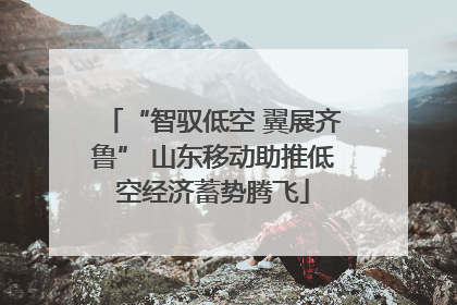 “智驭低空 翼展齐鲁” 山东移动助推低空经济蓄势腾飞
