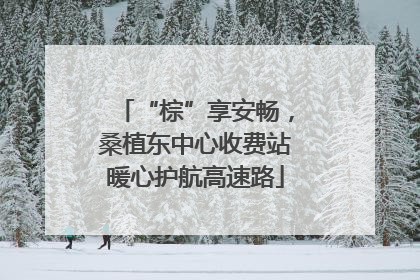 “棕”享安畅，桑植东中心收费站暖心护航高速路