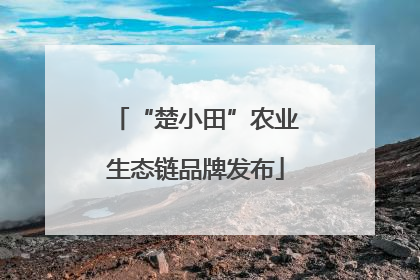 “楚小田”农业生态链品牌发布