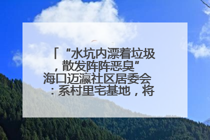 “水坑内漂着垃圾，散发阵阵恶臭” 海口迈瀛社区居委会：系村里宅基地，将派人打捞垃圾