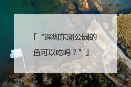 “深圳东湖公园的鱼可以吃吗？”