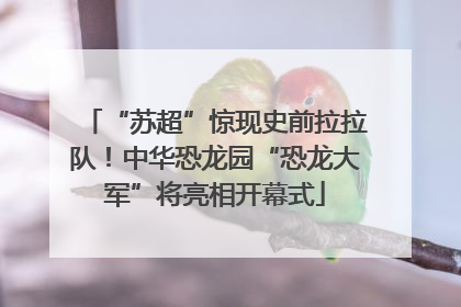“苏超”惊现史前拉拉队！中华恐龙园“恐龙大军”将亮相开幕式