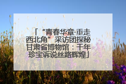 “青春华章·重走西北角”采访团探秘甘肃省博物馆：千年珍宝诉说丝路辉煌