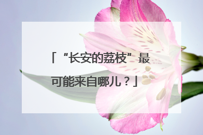 “长安的荔枝”最可能来自哪儿？