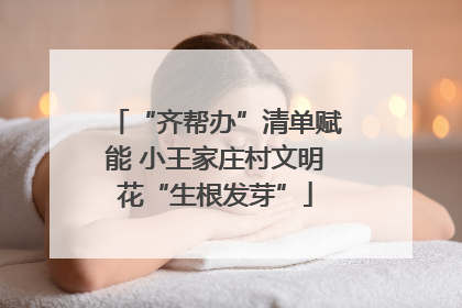 “齐帮办”清单赋能 小王家庄村文明花“生根发芽”