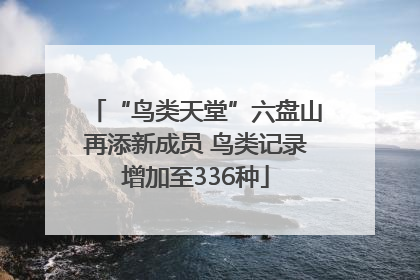 “鸟类天堂”六盘山再添新成员 鸟类记录增加至336种