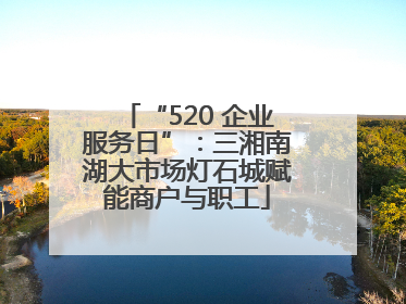 “520 企业服务日”：三湘南湖大市场灯石城赋能商户与职工