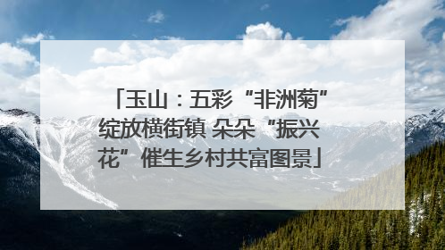 玉山：五彩“非洲菊”绽放横街镇 朵朵“振兴花”催生乡村共富图景