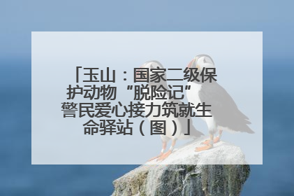 玉山：国家二级保护动物“脱险记” 警民爱心接力筑就生命驿站（图）