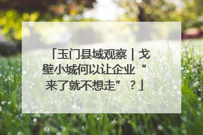 玉门县域观察｜戈壁小城何以让企业“来了就不想走”？