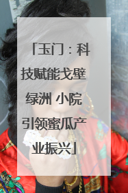 玉门：科技赋能戈壁绿洲 小院引领蜜瓜产业振兴