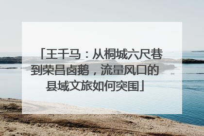 王千马：从桐城六尺巷到荣昌卤鹅，流量风口的县域文旅如何突围