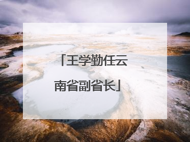 王学勤任云南省副省长
