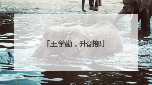 王学勤，升副部