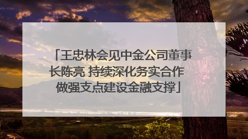 王忠林会见中金公司董事长陈亮 持续深化务实合作 做强支点建设金融支撑