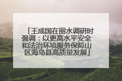 王成国在丽水调研时强调：以更高水平安全和法治环境服务保障山区海岛县高质量发展