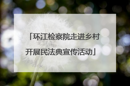 环江检察院走进乡村开展民法典宣传活动