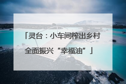灵台：小车间榨出乡村全面振兴“幸福油”