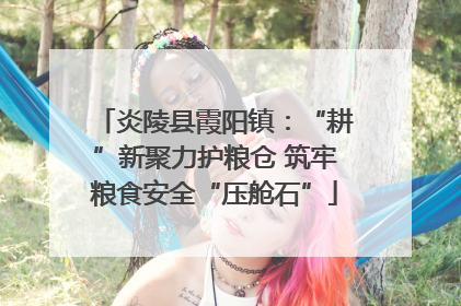 炎陵县霞阳镇：“耕”新聚力护粮仓 筑牢粮食安全“压舱石”