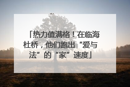 热力值满格！在临海杜桥，他们跑出“爱与法”的“家”速度