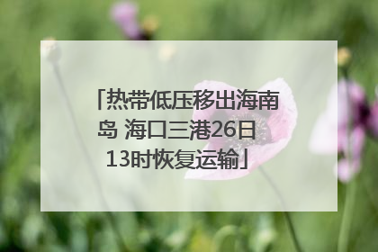 热带低压移出海南岛 海口三港26日13时恢复运输