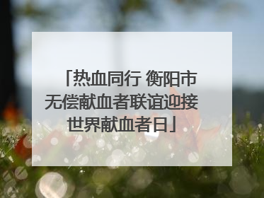 热血同行 衡阳市无偿献血者联谊迎接世界献血者日