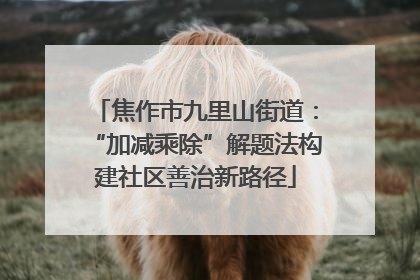 焦作市九里山街道：“加减乘除”解题法构建社区善治新路径