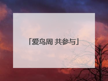 爱鸟周 共参与