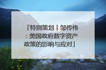 特别策划丨邹传伟：美国政府数字资产政策的影响与应对