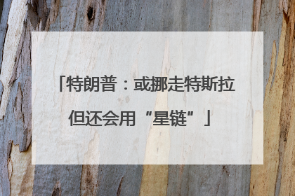 特朗普：或挪走特斯拉 但还会用“星链”