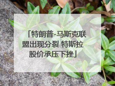 特朗普-马斯克联盟出现分裂 特斯拉股价承压下挫