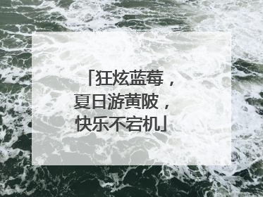 狂炫蓝莓，夏日游黄陂，快乐不宕机