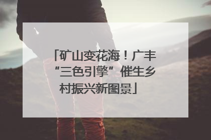 矿山变花海！广丰“三色引擎”催生乡村振兴新图景