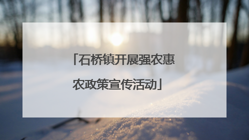 石桥镇开展强农惠农政策宣传活动