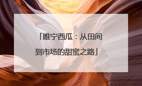 睢宁西瓜：从田间到市场的甜蜜之路