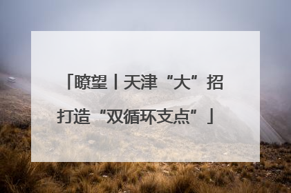 瞭望丨天津“大”招打造“双循环支点”