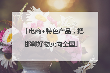 电商+特色产品，把邯郸好物卖向全国