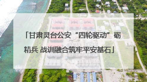 甘肃灵台公安“四轮驱动”砺精兵 战训融合筑牢平安基石