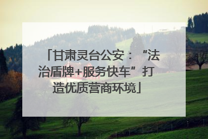 甘肃灵台公安：“法治盾牌+服务快车”打造优质营商环境