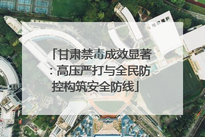 甘肃禁毒成效显著：高压严打与全民防控构筑安全防线