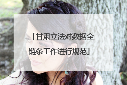 甘肃立法对数据全链条工作进行规范