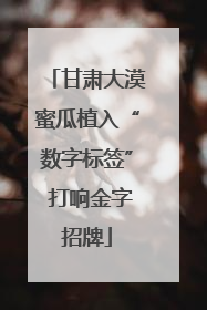 甘肃大漠蜜瓜植入“数字标签” 打响金字招牌