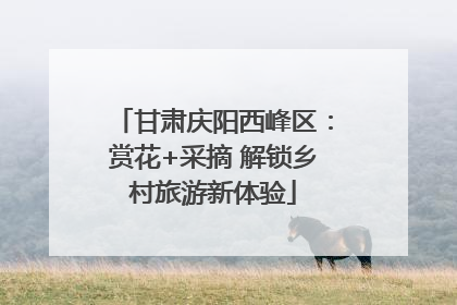 甘肃庆阳西峰区：赏花+采摘 解锁乡村旅游新体验