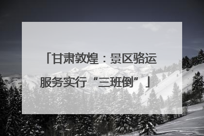 甘肃敦煌：景区骆运服务实行“三班倒”