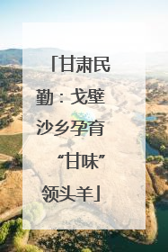 甘肃民勤：戈壁沙乡孕育“甘味”领头羊