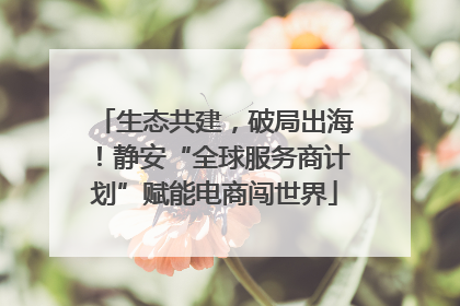 生态共建，破局出海！静安“全球服务商计划”赋能电商闯世界