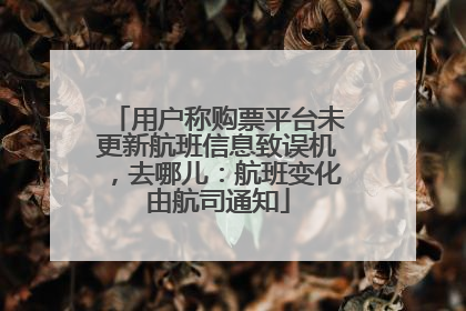 用户称购票平台未更新航班信息致误机，去哪儿：航班变化由航司通知