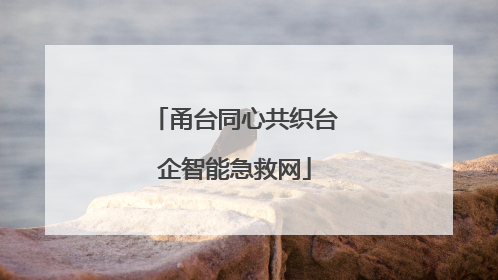 甬台同心共织台企智能急救网